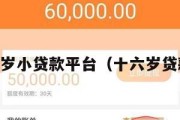 满16周岁小贷款平台（十六岁贷款平台）